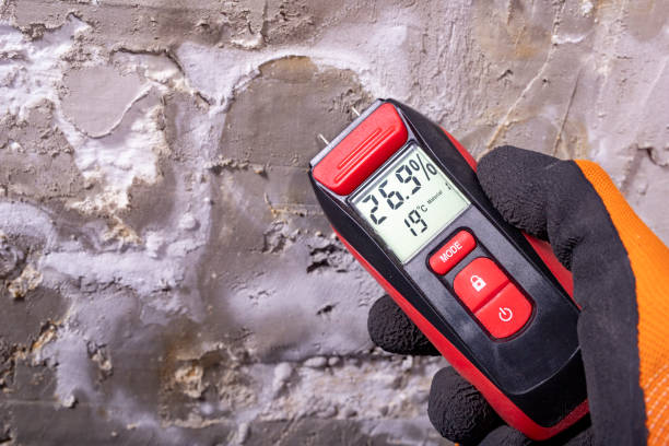 Best Post-Flood Mold Remediation in Oakville, MO